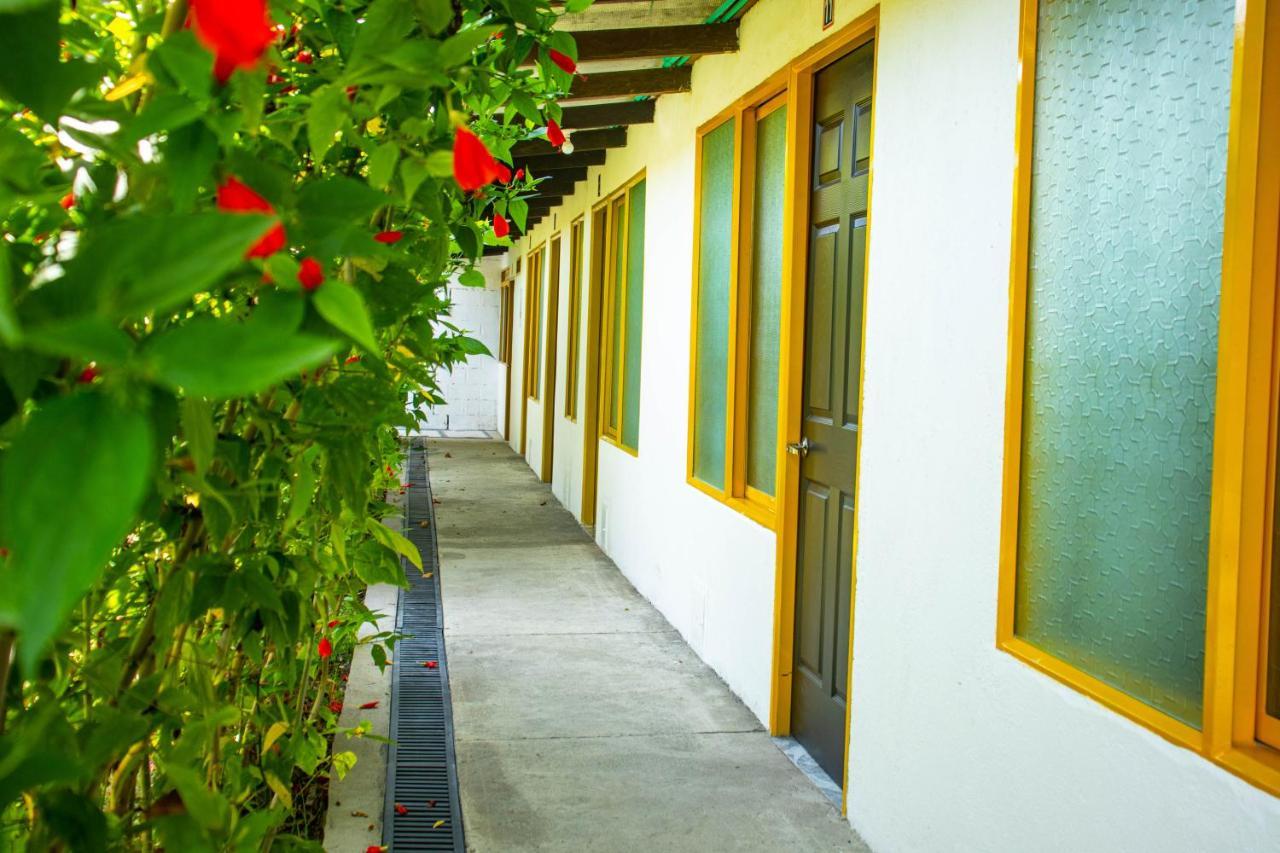 Hotel Villa Bosco Palmira  Kültér fotó