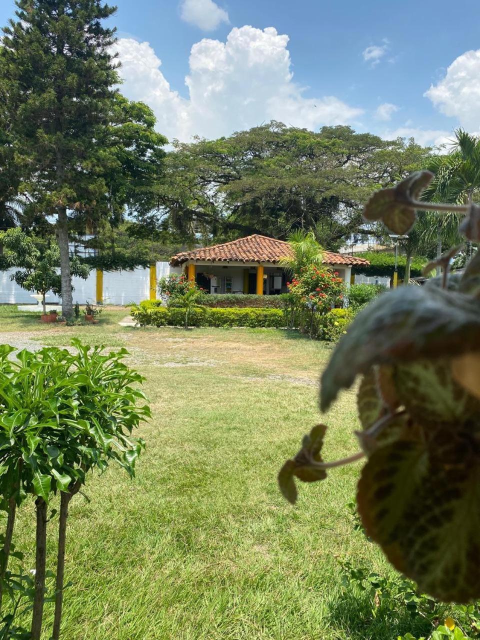 Hotel Villa Bosco Palmira  Kültér fotó